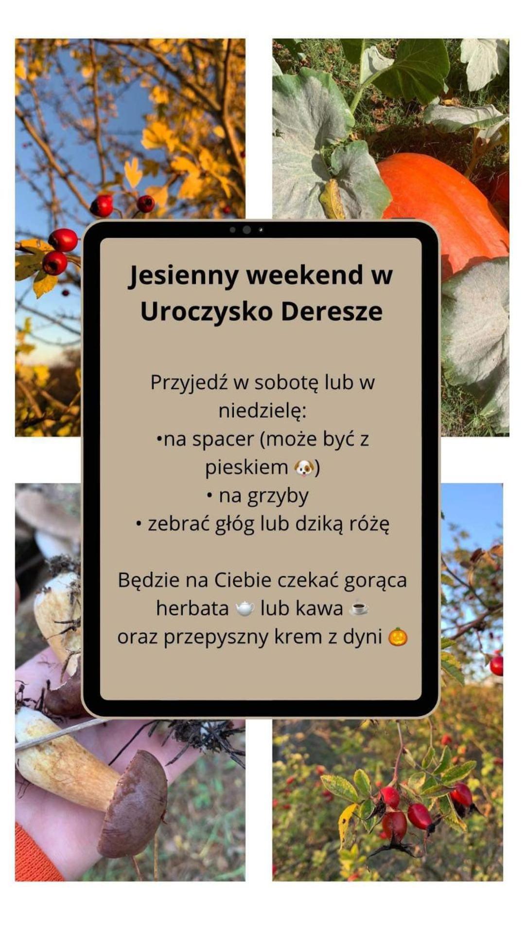 Gilawy Uroczysko Dereszeヴィラ エクステリア 写真